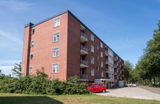 Afbeelding 1 van Onderhoud portiek: wie doet wat?