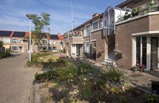 Afbeelding 2 van Haagbeuk (opgeleverd)