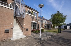 Afbeelding 3 van Haagbeuk (opgeleverd)