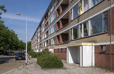 Afbeelding 1 van Gerard Doustraat