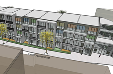 Afbeelding 1 van Bornerbroeksestraat