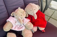 Afbeelding 1 van Hier Pauline van Incasso, thuis ook ‘gewoon’ moeder