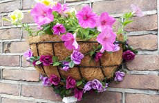 Afbeelding 1 van De Gagelstraat zet de bloemetjes buiten